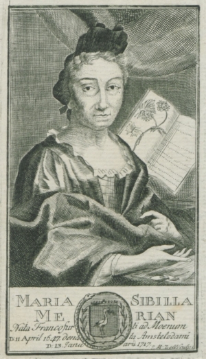 Maria Sibylla Merian